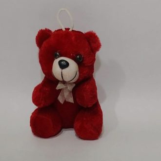 Small Teddy Bear